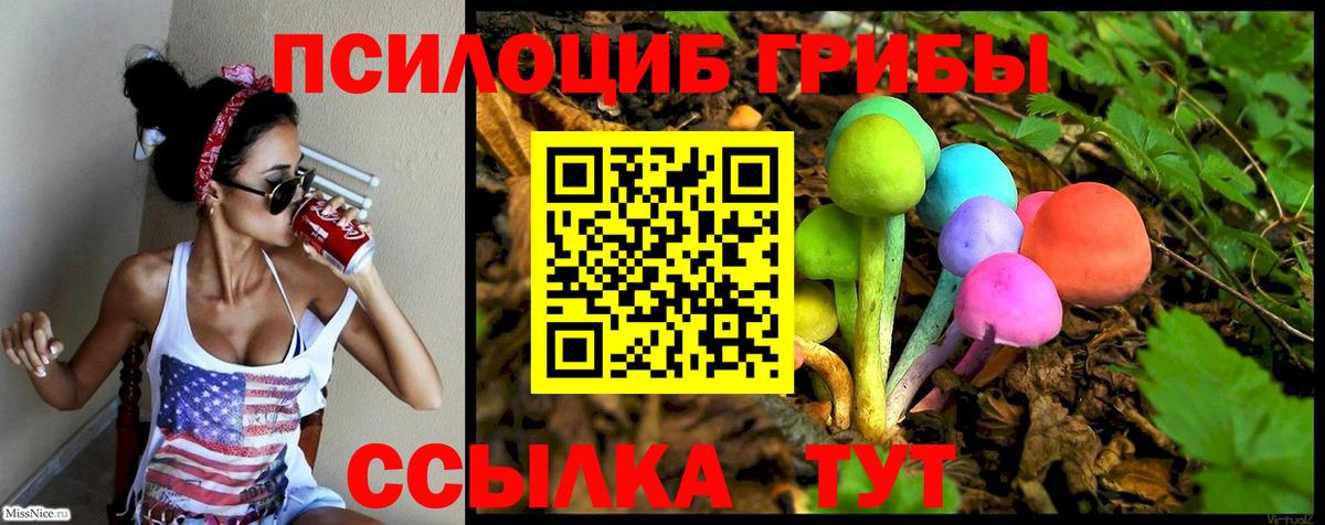 Галлюциногенные грибы GOLDEN TEACHER Сергиев Посад