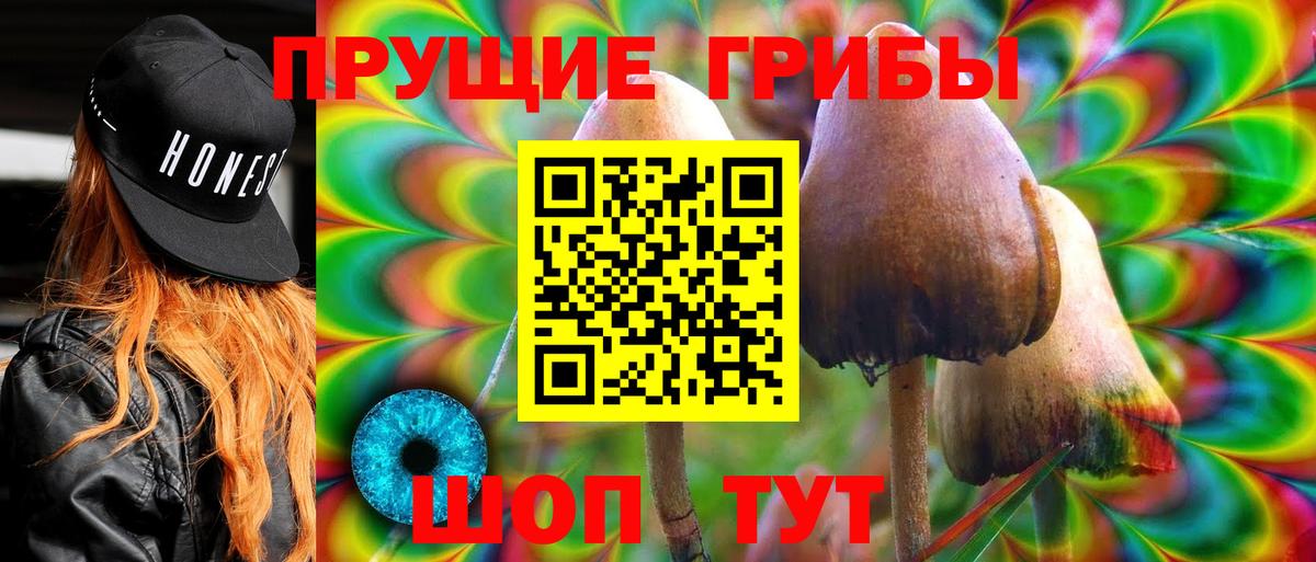как найти наркотики  Галлюциногенные грибы GOLDEN TEACHER  Вход с VPN  Псилоцибиновые грибы GOLDEN TEACHER  Сергиев Посад 